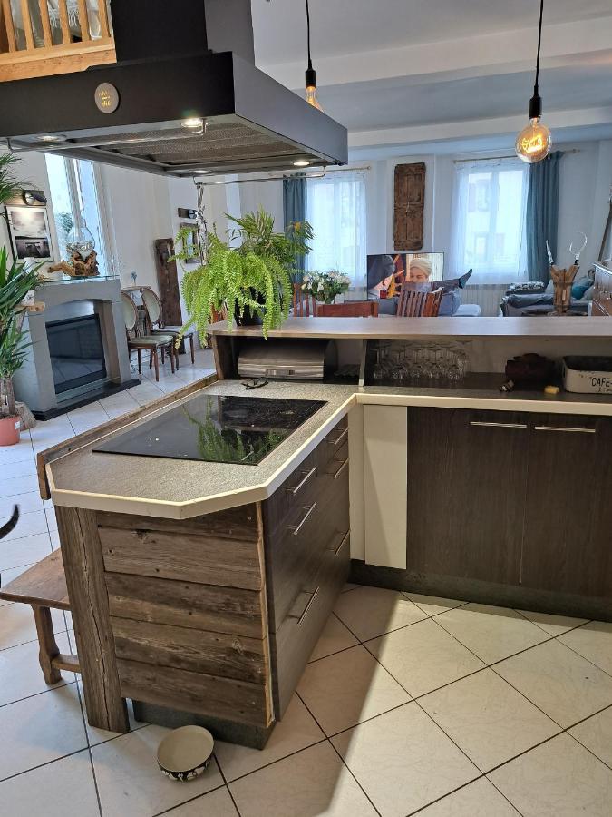 Gite Redrooster Home - 160M2, 4 Ch, 2 Sdb, Fibre, Parking, Sauna, Bain A Remous Theys エクステリア 写真